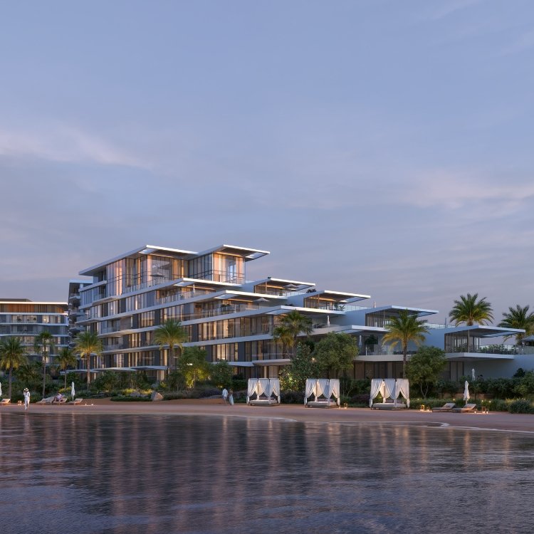 Palm Central Details